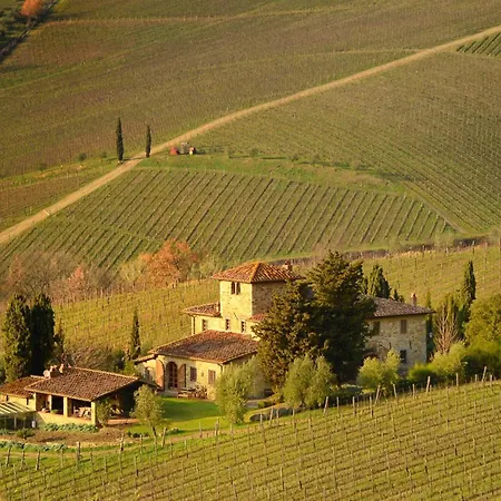 Casa Elena Panoramic Chianti Hills - Happy Holiday home Greve in Chianti